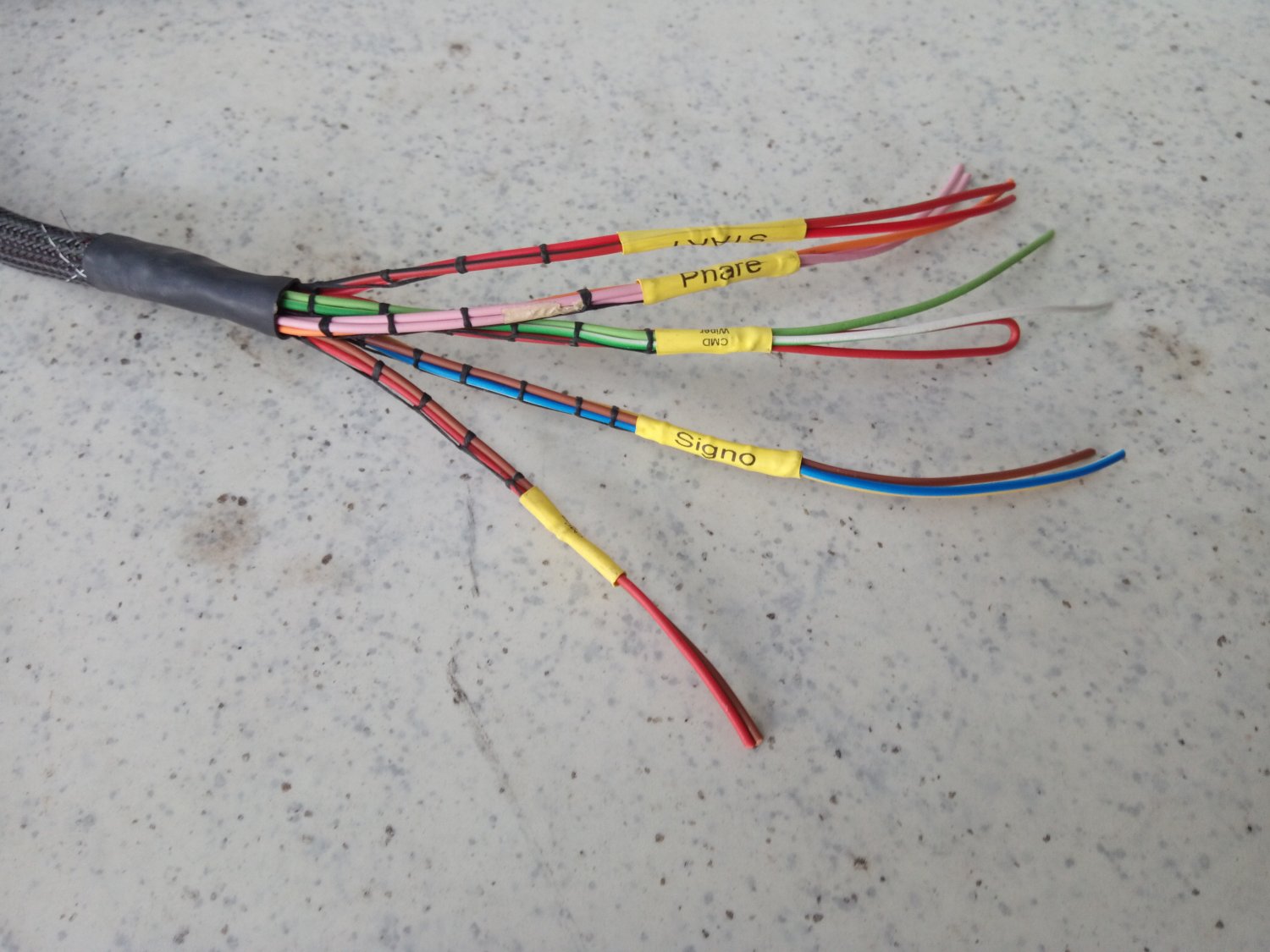 Honda Civic K20 préparée pour le slalom : faisceau moteur complet sur base Haltech Elite 550