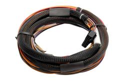 Haltech IO 12 Expander Box A - Flying Lead faisceau 2.5m – photo 2