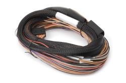 IO 12 Expander Box B - Flying Lead Harness 2.5m Length: 2.5m (8) – photo 2