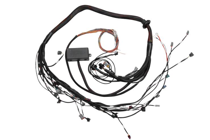 Elite 2000/2500 Toyota 2JZ Term Main Engine Harness only – Réf. HT-130318