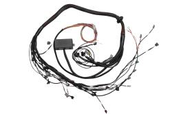 Elite 2000/2500 Toyota 2JZ Term Main Engine Harness only – Réf. HT-130318