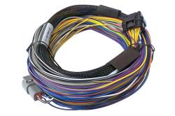 Elite 550 / 750 Basic Universal Wire-in Harness 2.5m (8) Length: 2.5m (8) – Réf. HT-140602