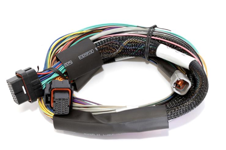Elite 1500, 2500 - 2.5m (8 ft) Basic Uni Wire-in Harness Only Length: 2.5m (8) – Réf. HT-141302