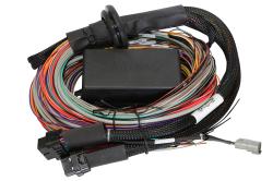 Elite 1500 / 2500 - 2.5m (8 ft) Premium Uni Wire-in Harness Length: 2.5m (8) – Réf. HT-141304