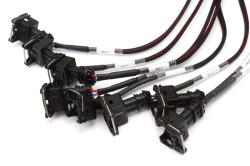 Elite 2000/2500 GM GEN III LS1 non DBW Term Harness Only EV1 – photo 2