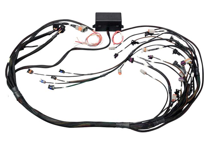 Elite 2000/2500 GM GEN III LS1 non DBW Term Harness Only EV1 – Réf. HT-141360