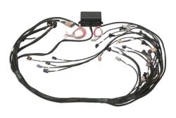 Haltech Elite 2000/2500 GM GEN III LS1 non DBW Term faisceau seul EV1 – photo 4