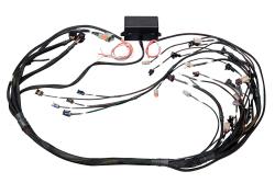 Haltech Elite 2000/2500 GM GEN III LS1 non DBW Term faisceau seul EV1 – Réf. HT-141360