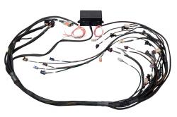 Elite 2500 GM GEN III LS1 (DBW Ready) Term Harn Only - EV1 – Réf. HT-141362
