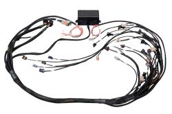 Elite 2500 GM GEN IV LS2 DBW Ready Term Harn Only - EV6 – Réf. HT-141367