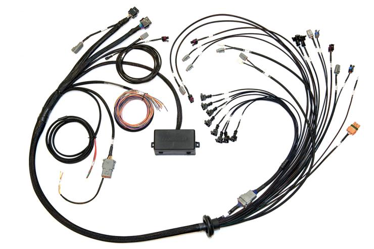 Elite 2500/2500 T V8 GM, Ford & Chrysler Term Harn Only EV1 – Réf. HT-141376