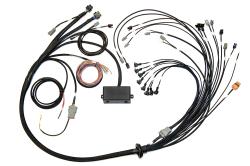 Elite 2500/2500 T V8 GM, Ford & Chrysler Term Harn Only EV1 – Réf. HT-141376