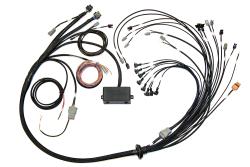 Haltech Elite 2500/2500 T V8 GM, Ford & Chrysler Term Harn seul EV1 – Réf. HT-141376