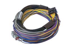 Elite 750 + Basic Universal Wire-in Harness Kit 2.5m (8â€™) Length: 2.5m (8) – photo 5