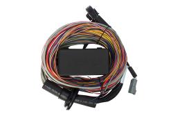 Elite 750 + Premium Universal Wire-in Harness Kit 2.5m (8â€™) Length: 2.5m (8) – photo 5