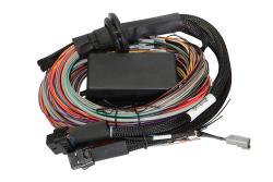 Elite 1500 + Premium Uni Wire-in Harness Kit 2.5m (8â€™) Length: 2.5m (8) – photo 5