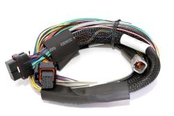 Elite 2500 + Basic Universal Wire-in Harness Kit 2.5m (8â€™) Length: 2.5m (8) – photo 2