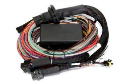 Elite 2500 + Premium Uni Wire-in Harness Kit 2.5m (8â€™) Length: 2.5m (8) – photo 2