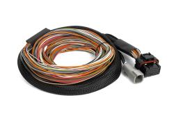 IO16 Universal Wire in harness 2.6M (8.5) – photo 2