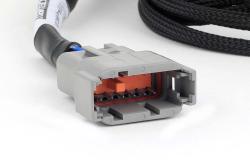 Nexus Universal V8 - Junior Timer (EV1) Injector Primary Breakout – photo 2