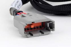 Nexus V8 GT150 (USCAR) Injector Primary Breakout – photo 2