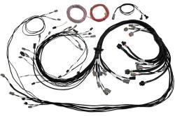 Universal V8 Terminated Engine Harness for Nexus R5 VCU – Réf. HT-186200