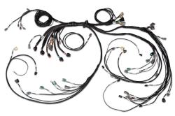 Nexus R5 LSx DBW Terminated Harness – Réf. HT-186205
