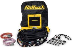 Nexus R5 LSx Non DBW Terminated Harness – photo 2