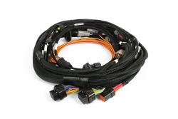 Nexus Rebel JZ - Main Terminated Harness – photo 2