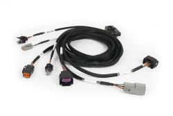 Nexus Plug-in DBW Expansion Harness 2.5m (8) – Réf. HT-189003