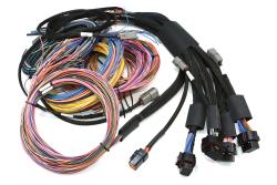 Nexus R5 + Universal Wire-in Harness Kit - 2.5M (8) Length: 2.5m (8) – photo 2