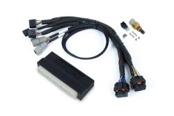 Nexus S2 Plug n Play Adapter Harness Kit - Honda EP3 – photo 3