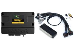 Nexus S2 Plug n Play Adapter Harness Kit - Honda EP3 – Réf. HT-212302
