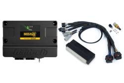 Nexus S3 Plug n Play Adapter Harness Kit - Honda EP3 – Réf. HT-213302