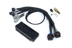 Nexus S3 Plug n Play Adapter Harness Kit - Honda S2000 AP1 / AP2 – photo 3