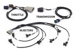 Rebel LS Kit - Suits Gen III - Cable throttle, EV1, Manual Transmission – photo 2
