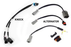 Rebel LS Kit - Suits Gen III - Cable throttle, EV1, Manual Transmission – photo 3