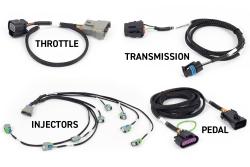 Rebel LS Kit - Suits Gen IV - 6-pin DBW, EV6 Injectors , Manual Transmission – photo 2